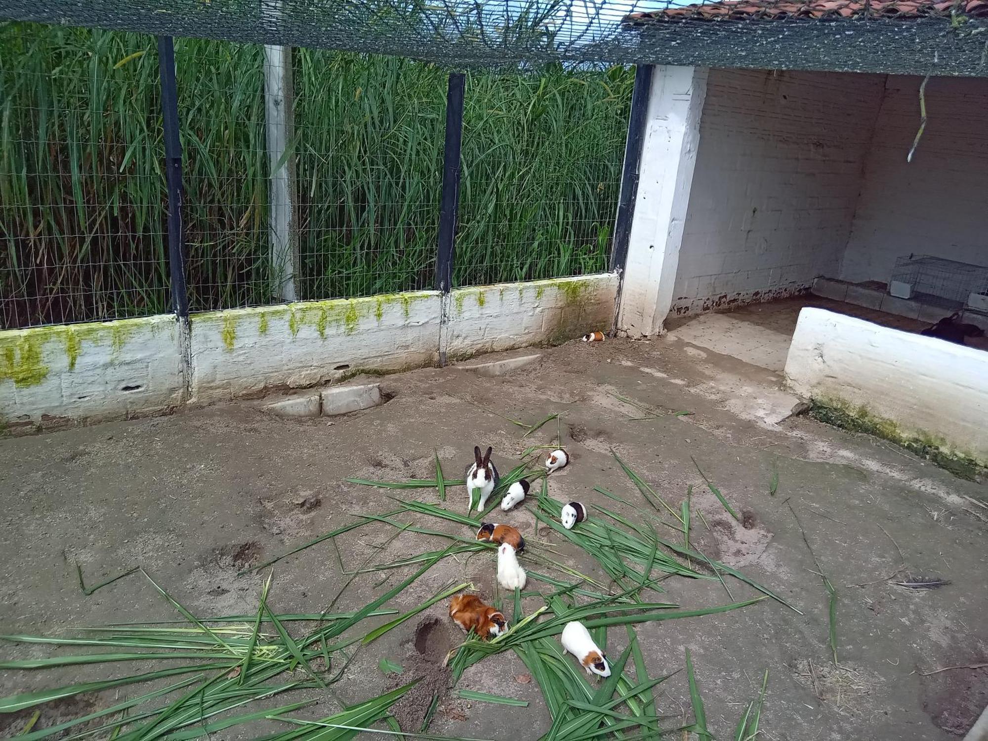 Flat 404 Villa Hipica กราวาตา ภายนอก รูปภาพ